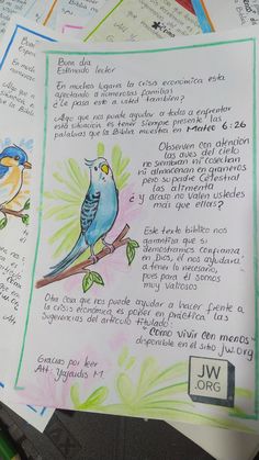 a bunch of papers with pictures of birds on them