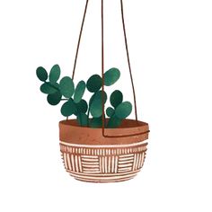 a potted plant with green leaves hanging from it's sides on a white background