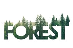 the word forest is surrounded by trees