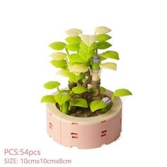 a small potted plant sitting on top of a table