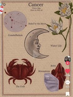 Astrology Art, Zodiac Signs Astrology, Arte Sketchbook, Zodiac Art, Astrology Zodiac, Astrology Signs, Star Signs, Zodiac Sign, Vintage Posters