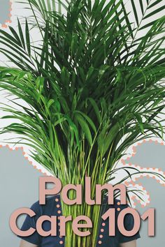 a woman holding a potted plant with the words palm care 101