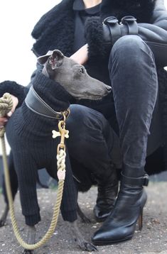 a woman sitting on the ground with her dog wearing a black sweater and leashes