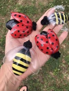 three ladybugs are sitting in the palm of someone's hand