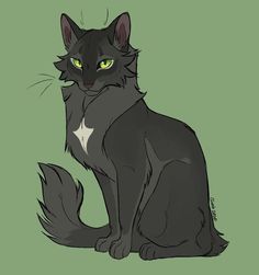 a black cat with green eyes sitting down