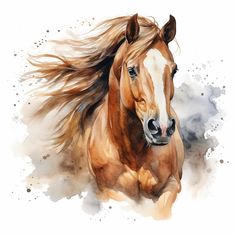 a painting of a brown horse with long hair running through the air, in front of a white background