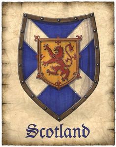 the emblem for scotland on a white and blue shield