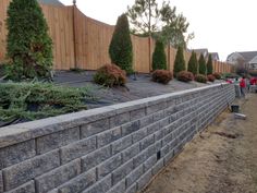 people are standing near a brick wall with trees growing on it and in the background