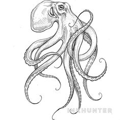 an octopus is drawn in black and white