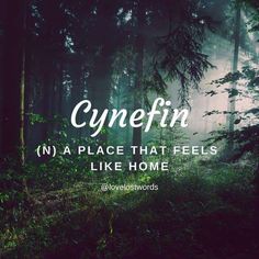 the words cynefin in a place that feels like home are surrounded by trees