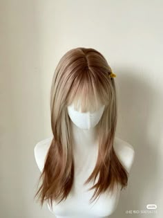 Hair Stages, Cute Wig, Hair Doctor, Korean Hair Color, Dramatic Hair, Hair Color Underneath, Natural Gray Hair, Hair Dye Ideas