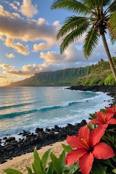 the beach is lined with palm trees and flowers, as the sun sets over the ocean