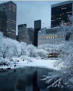 the city skyline is covered in snow as people walk on the sidewalk and trees are all around