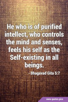 a quote from bhagavad gita on the subject of this image