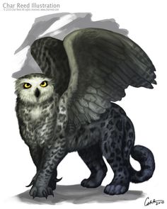 an owl with yellow eyes is standing in front of another owl that has its wings spread