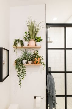 a bathroom with plants on the wall