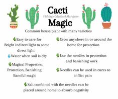 a poster with some words describing how to use cacti in the houseplants