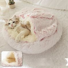 a cat laying in a pet bed on top of a white rug next to a plant