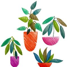 three potted plants with green leaves and one red plant in the middle, on a white background