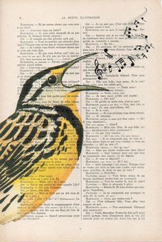 a bird with musical notes on it's back and neck sitting on top of an open book