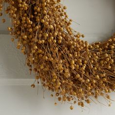 a bunch of yellow berries hanging from the side of a door