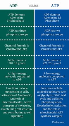 two different types of adp versus atypphatic and phosphatic