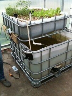 two metal containers filled with water and plants