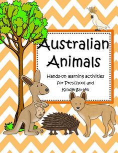 an australian animal book with pictures of kangaroos and hedgehogs