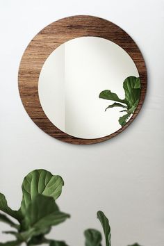 a round mirror hanging on the wall next to a potted plant with green leaves