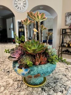 a bowl filled with lots of succulents on top of a marble counter