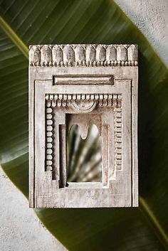 an old mirror sitting on top of a leafy green plant next to a wall