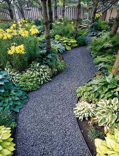 a garden with lots of plants and trees