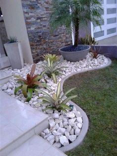 a garden with rocks and plants in it