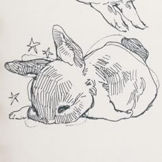 a drawing of a rabbit laying on its back