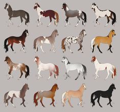 a group of horses standing next to each other on a gray background in different colors