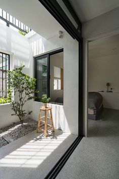 a small wooden stool sitting in front of a window next to a tree and potted plant