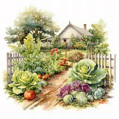 a watercolor painting of a garden with vegetables in the foreground and a house in the background