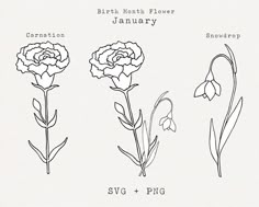 three different types of flowers are shown in this graphic art printable version, which includes the names of each flower