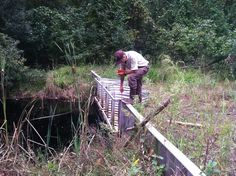 a man standing on top of a wooden bridge in the middle of some grass and trees