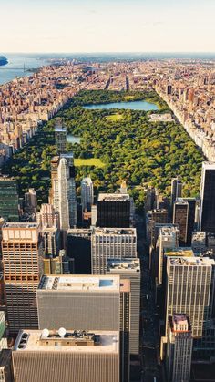 an aerial view of new york city's central park