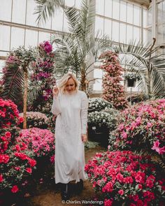 a woman standing in a greenhouse surrounded by flowers