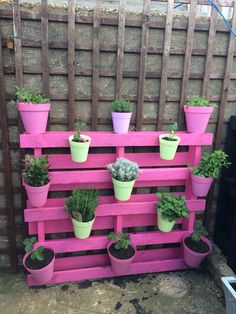 several potted plants are arranged on a pink pallet