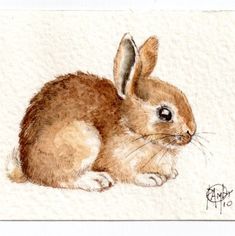 a drawing of a brown rabbit sitting on top of a white ground next to a wall