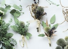 dried flowers and greenery laid out on a white surface with ribbons tied around them