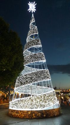 a lit up christmas tree in the middle of a park