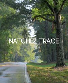 the words natchez trace are in front of an image of a tree lined road