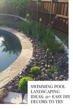 a small pool surrounded by rocks and plants