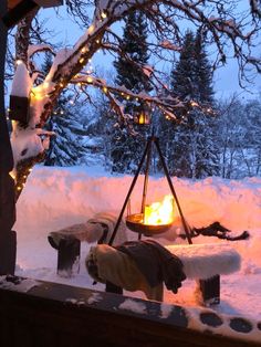 a fire pit in the middle of a snowy yard with trees and lights on it