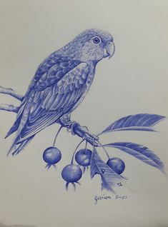 a blue bird sitting on top of a tree branch with berries and leaves around it