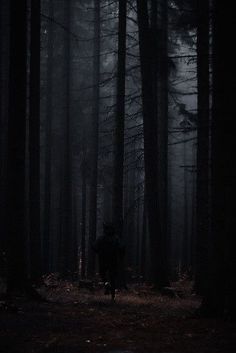 a person walking through a dark forest at night with the light from their flashlight on